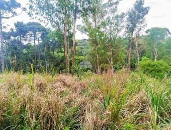 Terreno comercial à venda na RODOVIA DO CONTORNO NORTE, 10500, Jardim Alvorada, Almirante Tamandaré