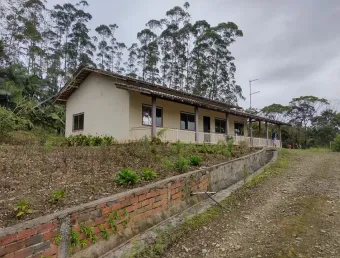 Vendo área com mais de 40 mil pés de eucalipto , itapoá sc
