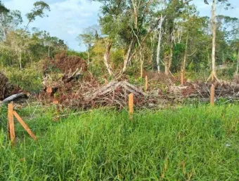 Terreno à venda, 132 m² por r$ 49.000,00 - praia das palmeiras - itapoá sc