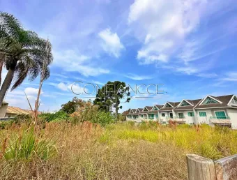 Terreno à venda na Rua Barão do Cerro Azul, 100, Bom Jesus, São José dos Pinhais
