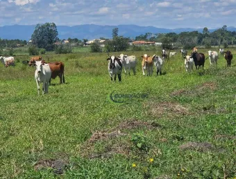 Fazenda com 7 dormitórios à venda, 484000 m² por r$ 8.000.000,00 - triângulo - pindamonhangaba/sp