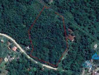 Terreno à venda, 18413 m² por R$ 480.000 - Alexandra - Paranaguá/PR