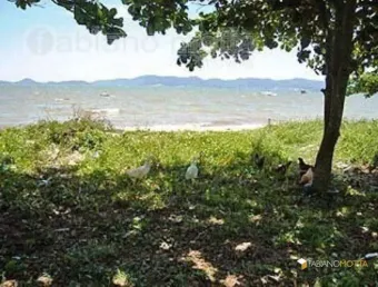 Terreno à venda, 430 m² por r$ 954.000,00 - barreiros - são josé/sc