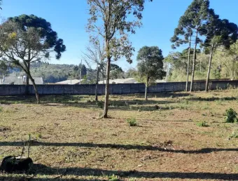 Excelente terreno de 1.947m2 no são dimas em colombo
