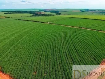 Fazenda à venda na Fernandópolis, Centro, Fernandópolis