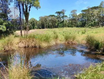 Chácara / sítio com 1 quarto à venda na Zona Rural, Campo Alegre 
