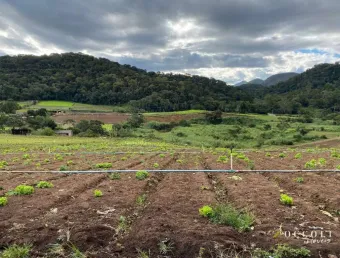 Fazenda à venda na Rua Campanha, Campo do Coelho, Nova Friburgo