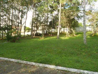 Terreno em condomínio fechado à venda na Estrada Intendente Antônio Damasco, 2430, Ratones, Florianópolis