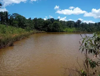 Chácara / sítio com 4 quartos à venda na Avenida Central, Jardim Nova Esperança, Goiânia