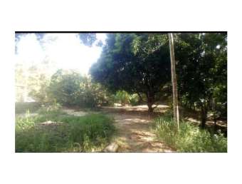 Terreno comercial à venda na Rua I Ferreira, Zona Rural, Taquaraçu de Minas