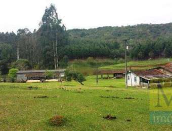 Sítio com 2 dormitórios à venda, 333960 m² por R$ 7.000.000,00 - Areia Branca - Mandirituba/PR