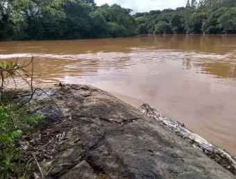 Chácara / sítio com 1 quarto à venda na Praça Dom Otávio, 100, Zona Rural, Turvolândia