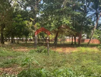 Terreno à venda na Avenida São Luís Rei de França, Turu, São Luís