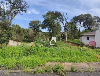 Terreno à venda, 828 m² por r$ 240.000,00 - alto das palmeiras - canoinhas/sc