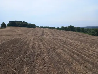 Terreno à venda na Zona Rural, Lapa 