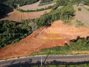 Área para Venda em Campo Magro, Quarteirão São João