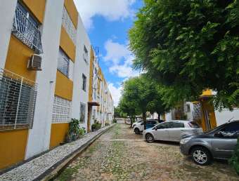 Apartamento 1 Quarto no Dionísio Torres – Localização Privilegiada!