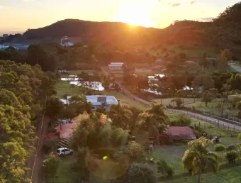 Chácara / sítio com 4 quartos à venda na Rodovia BR 116, Centro, Morro Reuter