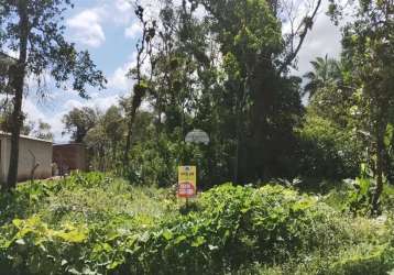 Terreno à venda na rua joinville, 300, palmital, garuva por r$ 87.000