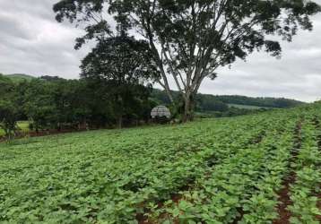 Fazenda à venda na estrada linha sao jose - area rural, 00, zona rural, clevelândia, 260170 m2 por r$ 3.650.000