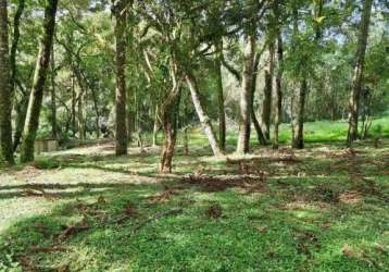 Chácara / sítio com 1 quarto à venda na estrada particular, 3, jardim bela vista, balsa nova por r$ 259.000