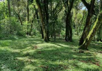Chácara / sítio com 1 quarto à venda na estrada particular, 1, jardim bela vista, balsa nova por r$ 390.000