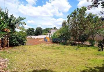 Terreno à venda, 980 m² por r$ 590.000,00 - vila morangueira - maringá/pr