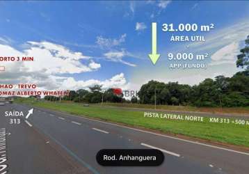 Área na rodovia anhanguera, a venda, 40.000m², r$8.500.000,00 - ribeirão preto/sp