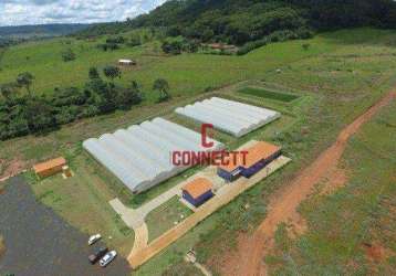 Fazenda com 4 dormitórios à venda, 135000 m² por r$ 2.820.000,00 - zona rural - ribeirão preto/sp