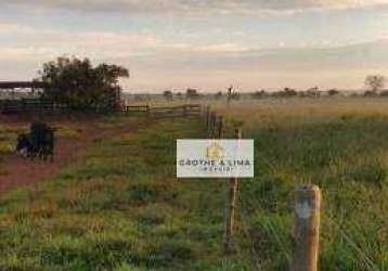Fazenda com 232 hectares com dupla aptidão à venda na região do município de três lagoas-ms.