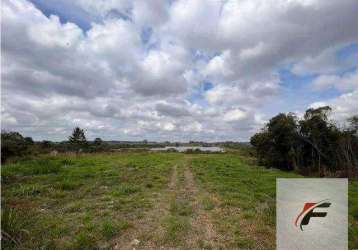 Terreno à venda, 98069 m² por r$ 1.100.000,00 - campo de santana - curitiba/pr