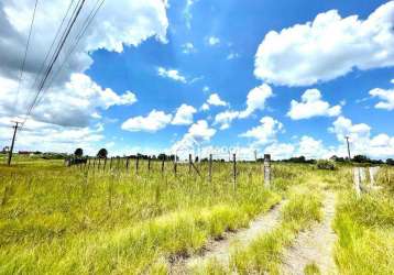Terreno à venda, 3650 m² por r$ 2.300.000 - colônia - carambei/pr