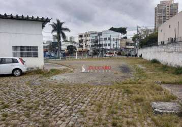 Terreno à venda, 1500 m² por r$ 5.999.999,99 - vila das palmeiras - guarulhos/sp