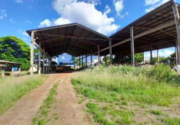 Terreno para alugar, 500 m² por r$ 8.000/mês - parque industrial lagoinha - ribeirão preto/sp