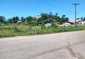 Terreno à venda na rua jacinto machado, petrópolis, joinville, 5000 m2 por r$ 2.000.000