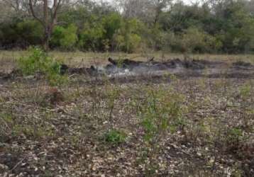 Fazenda para venda na região de corumba-ms no pantanal com 1.580 hectares na pecuária, benfeitorias simples
