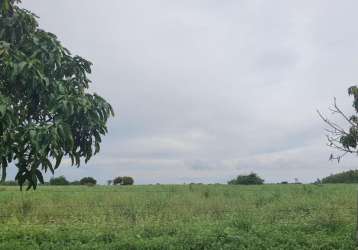 Fazenda dupla aptidão para venda na região de morpara-ba com 11.500 hectares, atual na pecuária, rica em agua, muitas benfeitorias