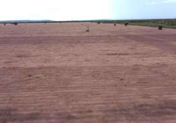 Fazenda para venda na região de cristino castro-pi com 6.500 hectares sendo 1.000 hectares abertos em pastagem, benfeitorias para pecuária