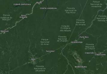 Fazenda bruta para venda no amazonas com 30.000 hectares, ideal para credito de carbono, bioma amazonia