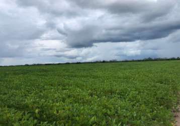 Fazenda para venda na região de são francisco do piaui-pi com 10.500 hectares sendo 4.500 hectares abertos, lavoura mais pastagem