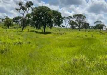 Sitio para venda em campina verde-mg com 61 hectares na pecuária, muito bom de agua e benfeitorias