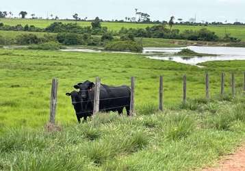 Fazenda dupla aptidão para venda na região de araguaina-to, com 17.000 hectares sendo 11.000 abertos, muitas benfeitorias