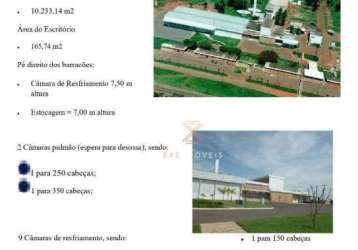 Oportunidade de frigorífico à venda, 10233 m² por r$ 10.000.000 - são josé - araçatuba/sp