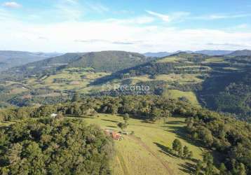 Sitio 39 hectares -  moreiras em canela, chapadão, canela - rs