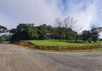 Terreno à venda em campo largo, vila conceição, com 1128.66 m²