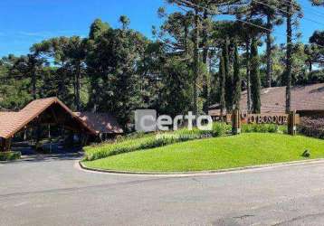Terreno à venda, 320 m² por r$ 1.050.000,00 - floresta - gramado/rs