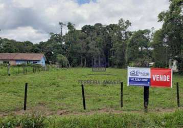Terreno à venda, 3932 m² por r$ 140.000,00 - zona rural - tijucas do sul/pr