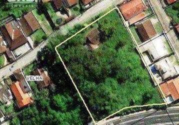 Terreno à venda, 4266 m² por r$ 3.995.000,00 - velha - blumenau/sc