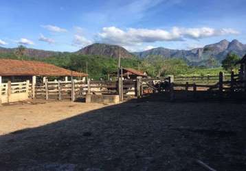 Fazenda com 1 sala à venda na área rural de colatina, colatina  por r$ 9.600.000
