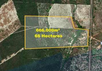 Terreno em aracati com 66 hectares, são 264 metros nas margens da br 304